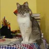 Отзыв от Нина Бычкова